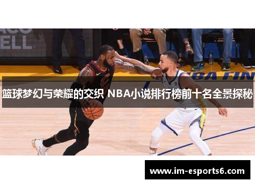 篮球梦幻与荣耀的交织 NBA小说排行榜前十名全景探秘