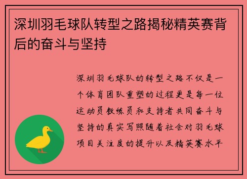 深圳羽毛球队转型之路揭秘精英赛背后的奋斗与坚持