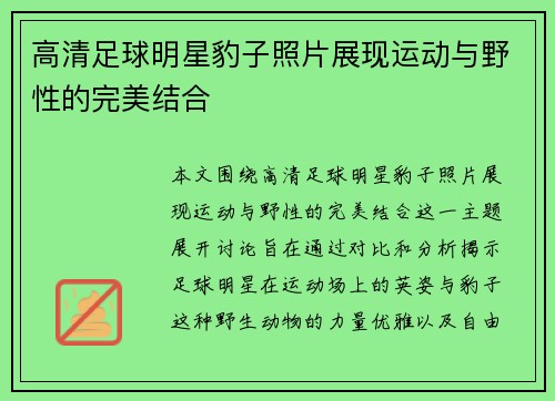 高清足球明星豹子照片展现运动与野性的完美结合